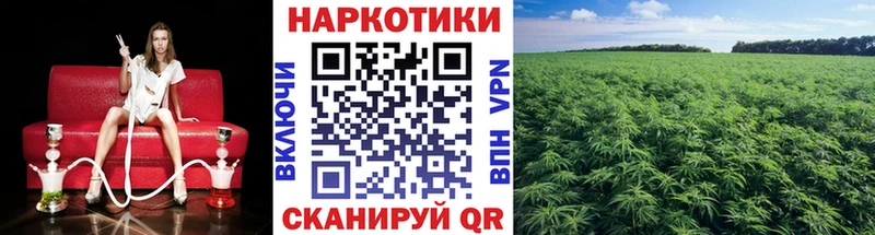 Хочу наркоту Сорск СК  MDMA  Каннабис  Меф мяу мяу  АМФ 