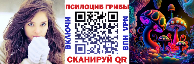 цена наркотик гидра зеркало маркетплейс наркотические препараты Сорск Галлюциногенные грибы Psilocybine cubensis